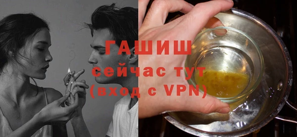 стаф Дмитров