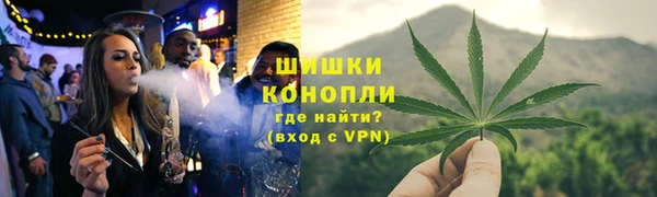 соль ск Тайга