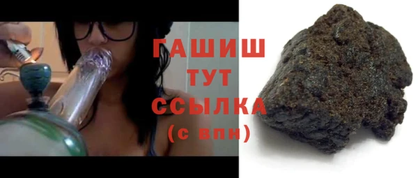 стаф Дмитров