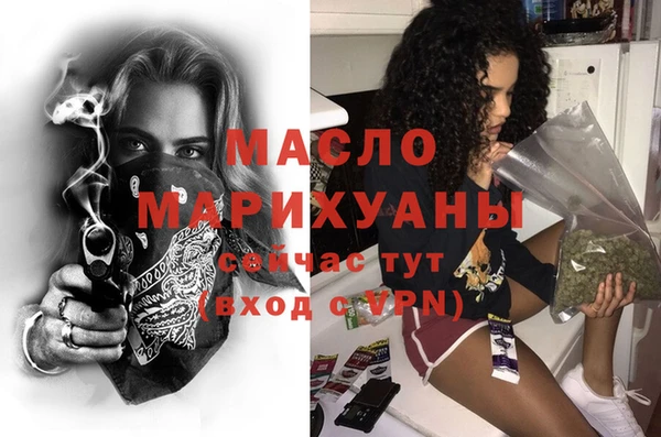стаф Дмитров
