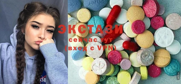стаф Дмитров