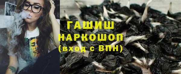 стаф Дмитров