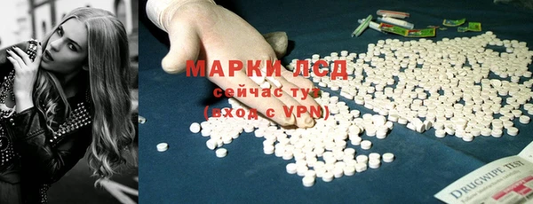 стаф Дмитров