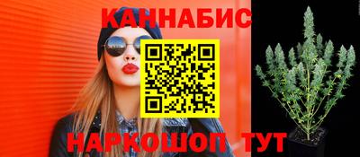гашик Обнинск