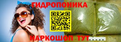 гашик Обнинск