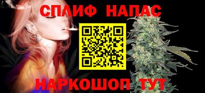 гашик Обнинск