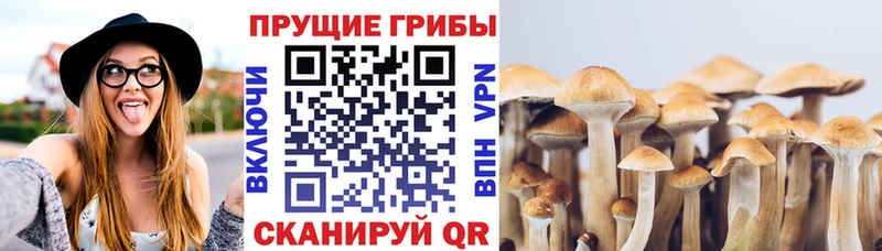 Псилоцибиновые грибы MAGIC MUSHROOMS  Сызрань 