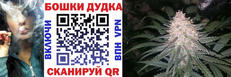 Бошки Шишки ГИДРОПОН  Сызрань 